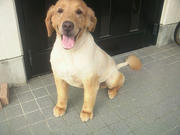 080712a.jpg