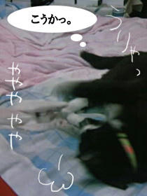 付き合ってみる。