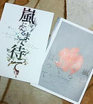 嵐になるまで待って