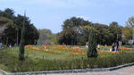 432189a0.jpg