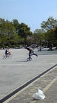 d76c0388.jpg
