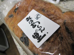 20100117a.jpg