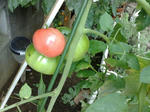 20090704502.jpg
