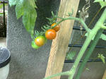 20090704505.jpg