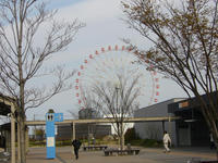 高速SAの1