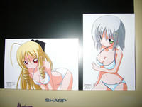 おっぱいコンビ