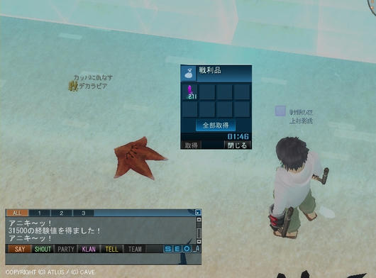 海開き