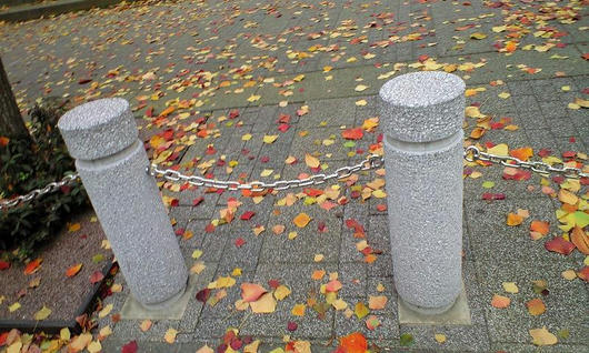 CA390645.JPG