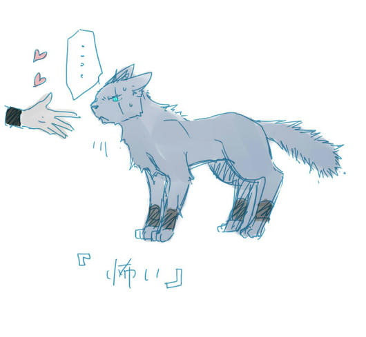 ねこのきもち１