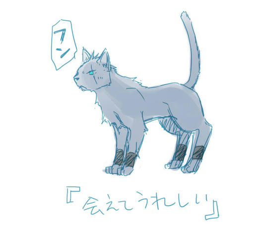 ねこのきもち２