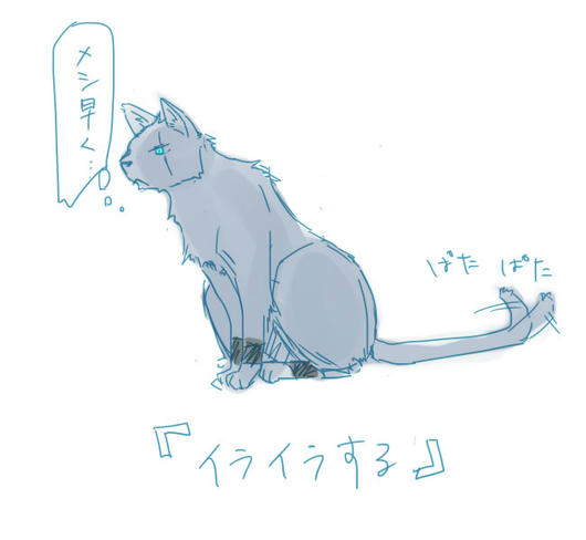 ねこのきもち３