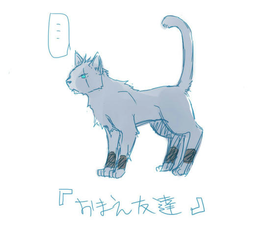 ねこのきもち４