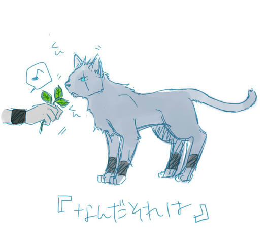 ねこのきもち５