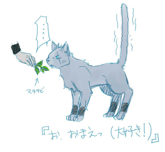 ねこのきもち６