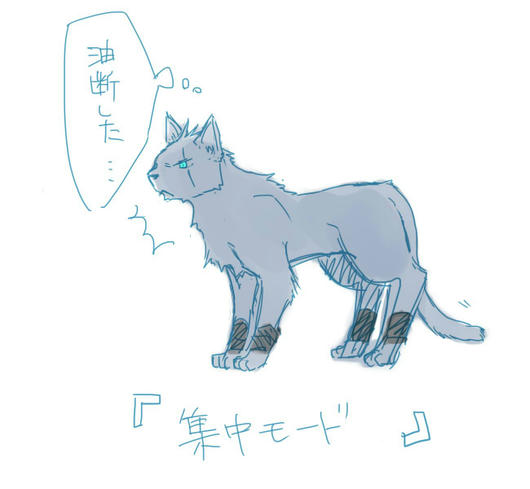 ねこのきもち８