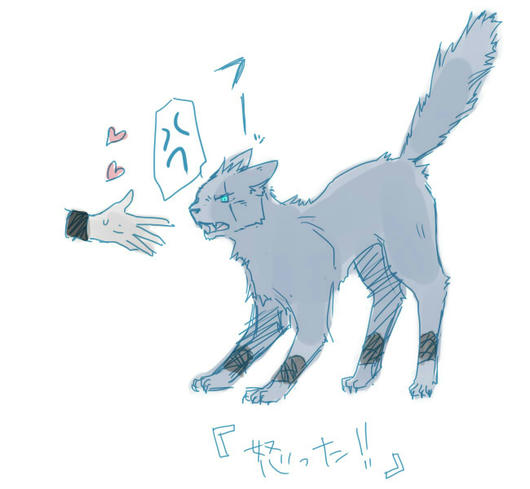 ねこのきもち９