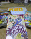 NEC_0167.jpg