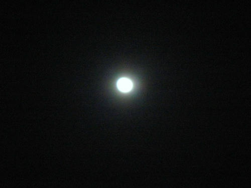 IMG_1746.jpg