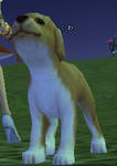 19a1b7b6.jpg
