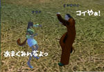 8df07f2e.jpg