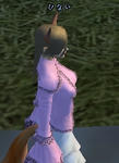 886e46f2.jpg