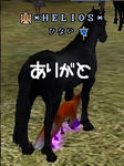 b0efef78.jpg