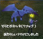 0a72a324.jpg