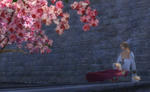 c3b227e1.jpg