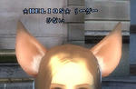 b974c351.jpg
