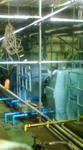 080303_1135~02.jpg