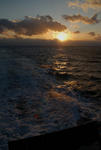 DSC_0040.jpg