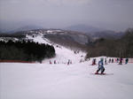 Image009.jpg