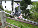 16045d37.jpeg