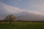 DSC_0072.jpg