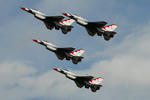 birds1.jpg