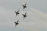 birds5.jpg