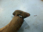 SBSH0112.jpg