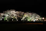 DSC_0056_02.jpg