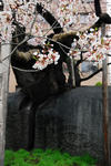 DSC_0043_03.jpg