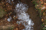 FI2623244_2E.jpg