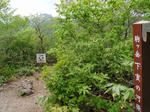 P6050003_03.jpg