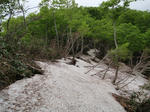 P6050005_05.jpg