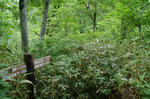DSC_0046_04.jpg