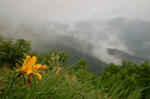 DSC_0060_05.jpg