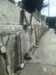 SBSH0254_02.jpg
