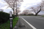 DSC_0059_03.jpg
