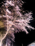 SBSH0325_002.jpg