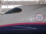 P5030026_01.jpg