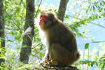 DSC_0445_10.jpg