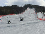 CIMG2843_02.jpg